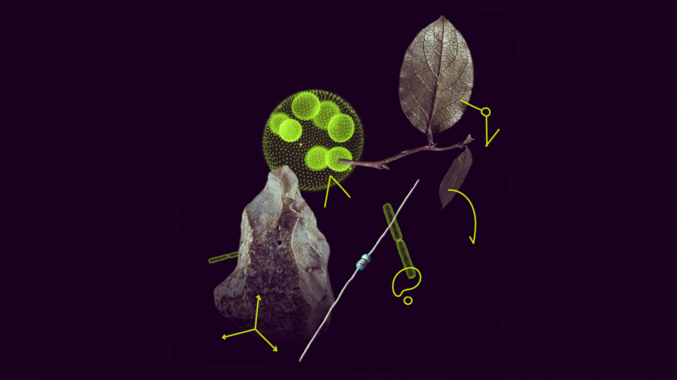 BatteryLab MSCA Fellowship award announcement for zinc-ion battery research project
